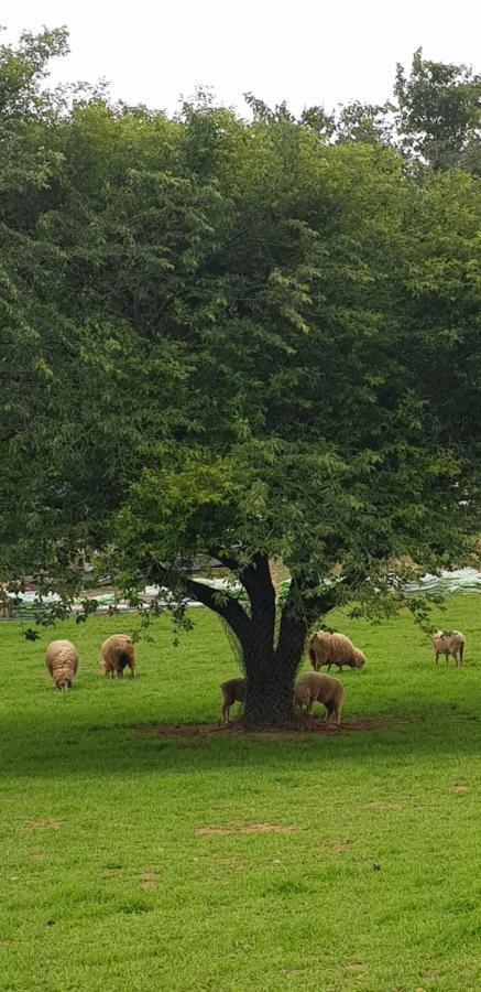 Herkules Namhae German Village Dış mekan fotoğraf